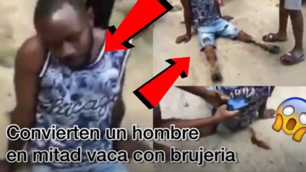 ¡DE TERROR! Mira Como Convierten A Este Hombre EN MITAD VACA CON BRUJERIA | DICEN QUE Pasó En HAITÍ