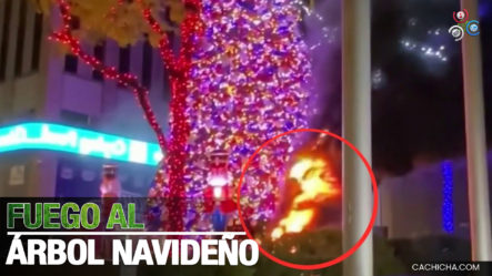 Hombre Prende En Fuego Icónico árbol De Navidad De La Ciudad De Nueva York