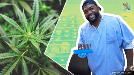 Surge Debate De Legalización Del Uso De Marihuana Medicinal