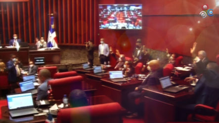 El Senado Aprobó El Proyecto De Reforma Del Código Penal ¡Aquí Los Detalles!