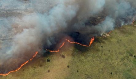 México Lucha Contra Devastadores Incendios En Una Reserva De Biosfera En Quintana Roo