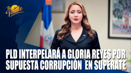 PLD Interpelará A Gloria Reyes Por Supuesta Corrupción En Supérate – Tu Tarde By Cachicha