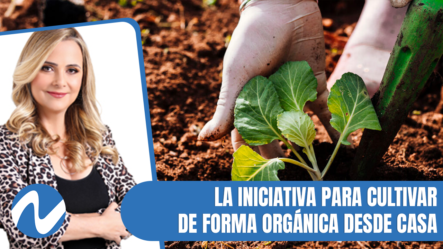 Huerto Land Da La Iniciativa Para Cultivar De Forma Orgánica Desde Casa | Nuria Piera