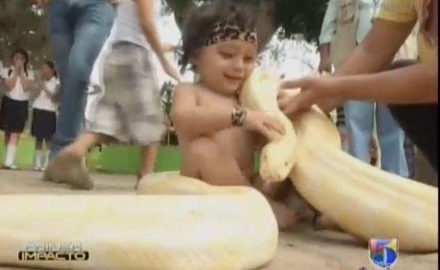 Conosca El Juguete Favorito De Un Niño De 2 Años De Edad #Video