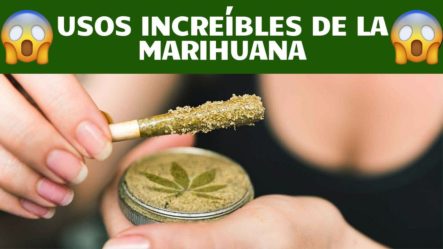 Usos Increíbles De La Marihuana