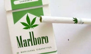 La Marlboro Comercializará Cigarrillos De Marihuana