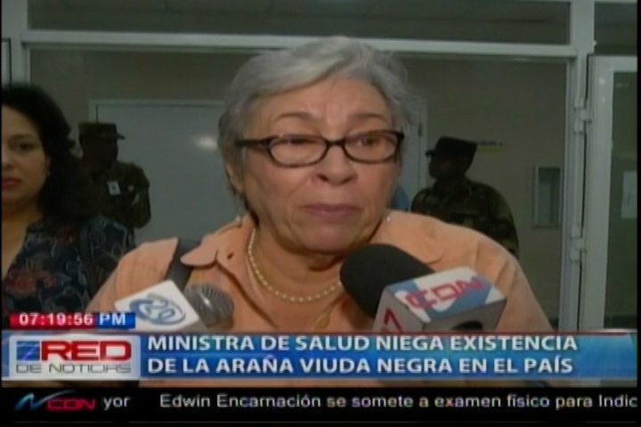 La Ministra De Salud Niega La Existencia De La Araña Viuda Negra En El País