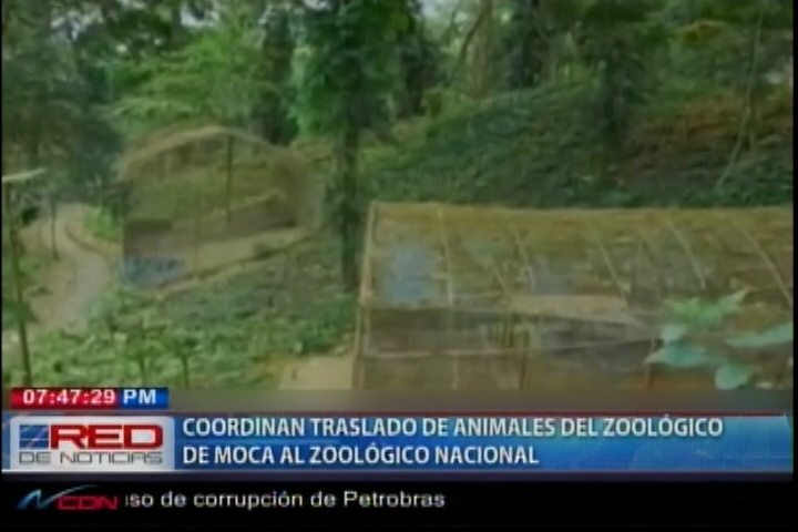 Autoridades De Medio Ambiente Coordinan El Traslado De Animales Del Zoológico De Moca Al Zoológico Nacional